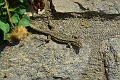 19 08 13_7071_edited-1